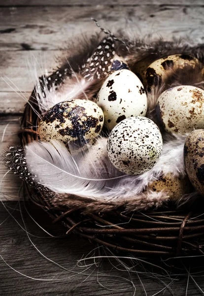 Cesta de Pascua con huevos de Pascua —  Fotos de Stock