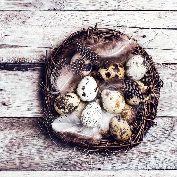 Nido di Pasqua con uova bianche — Foto Stock