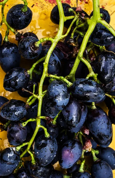 Gran racimo de uvas de vino — Foto de Stock