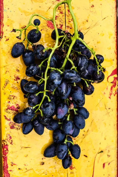 Large bunch of wine grapes — Stock Photo, Image