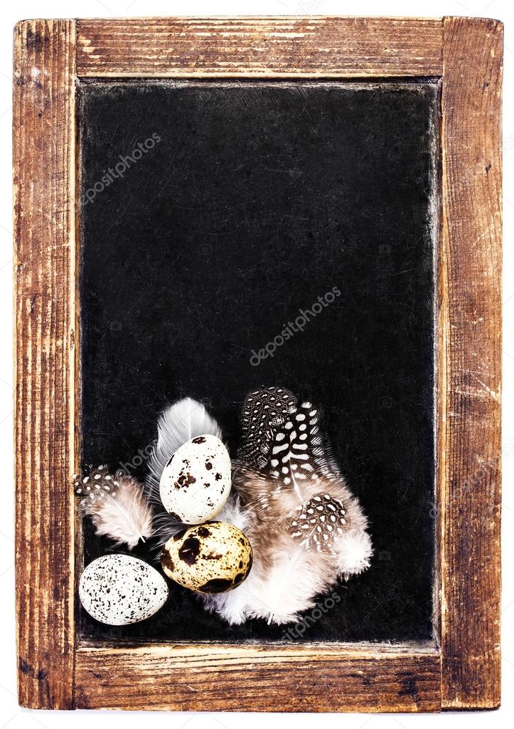 Quail eggs and white feathers