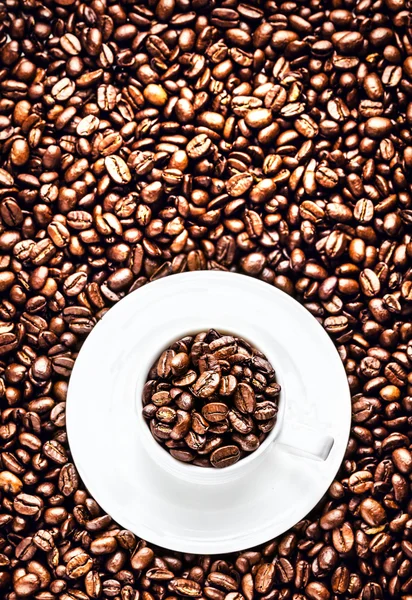 Tasse à café blanche avec soucoupe pleine de grains de café torréfiés — Photo