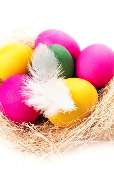 Huevos de Pascua coloridos sobre fondo blanco en un nido de cerca . — Foto de Stock