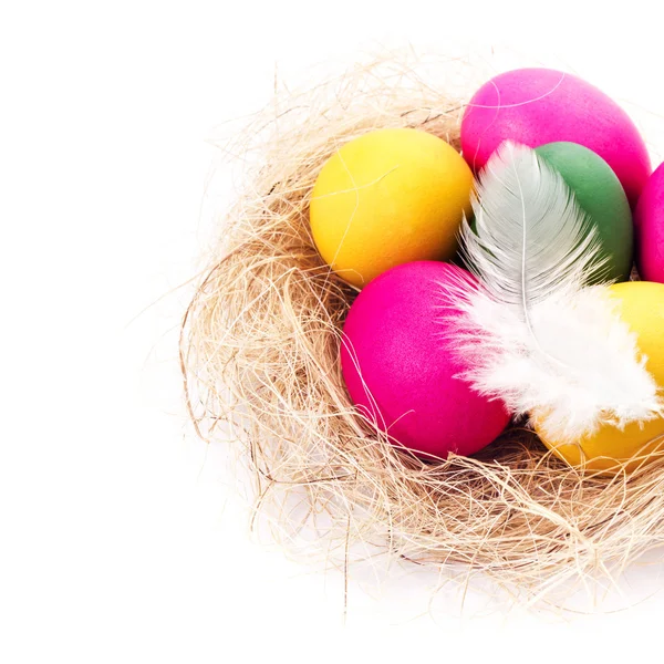 Œufs de Pâques colorés sur fond blanc dans un nid gros plan . — Photo