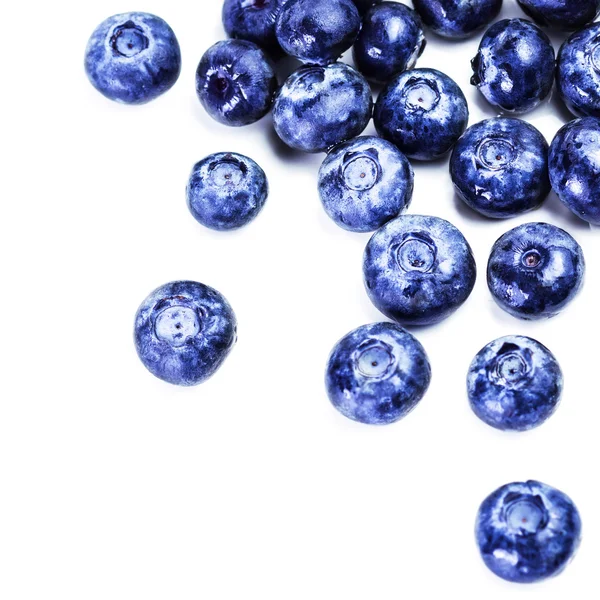 Fresh Blueberries isolated — Stock Photo, Image