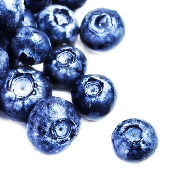 白色背景的新鲜蓝莓 — 图库照片