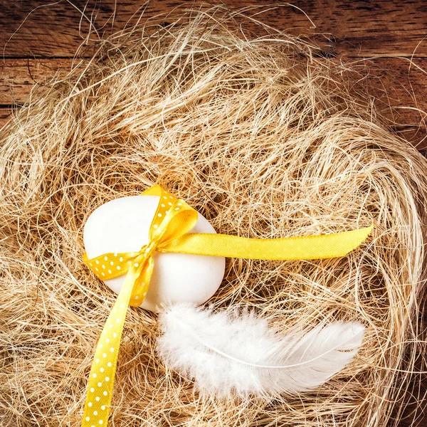 Easter nest with Egg, yellow ribbon and white feather — Stock Photo, Image