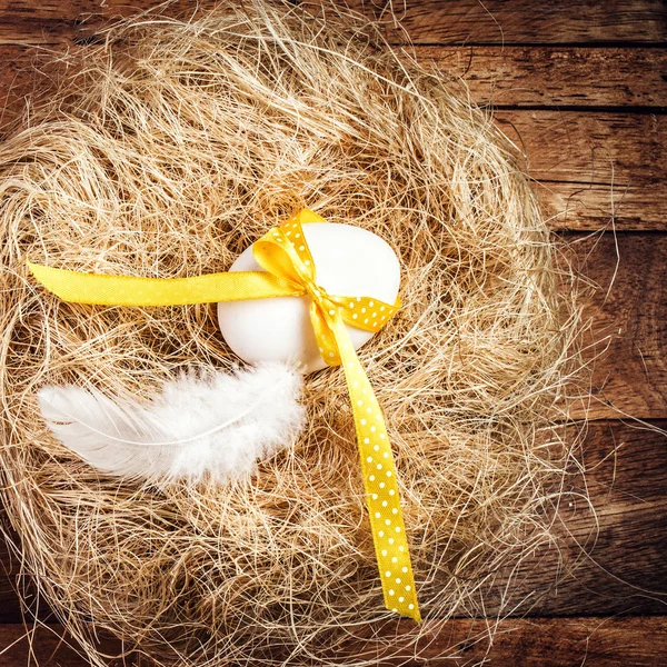 Easter nest with Egg, yellow ribbon — Stock Photo, Image