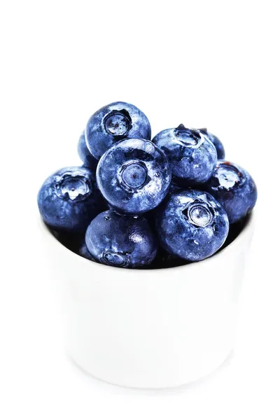 Bleuets frais dans un bol isolé — Photo