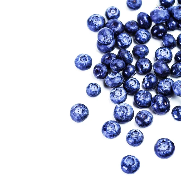 Fresh Blueberries isolated — Stock Photo, Image