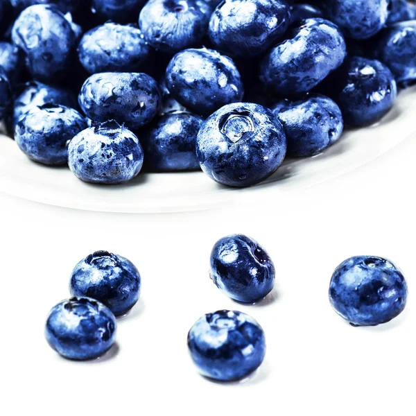Fresh Blueberries isolated on white background — Stock Photo, Image