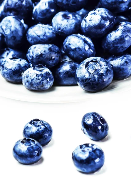 Blueberries on white plate — Stock Photo, Image