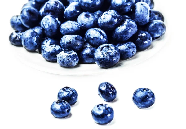 Fresh Blueberries in a  white bowl — Stock Photo, Image