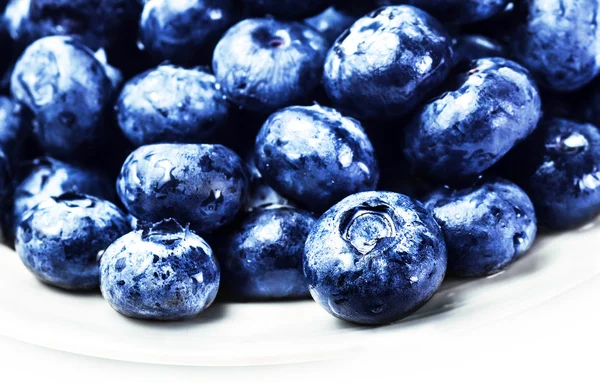 Blueberries on white plate — Stock Photo, Image