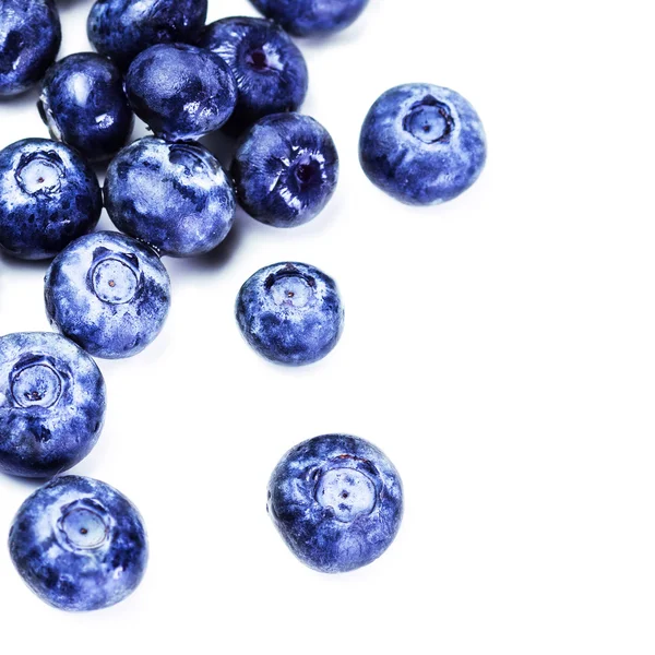 Frische Blaubeeren — Stockfoto