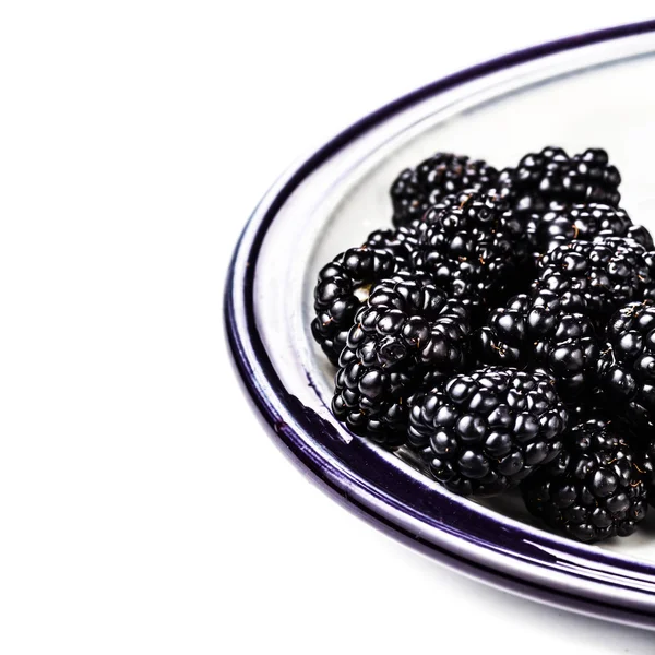 Fresh blackberries in a bowl — Stock Photo, Image