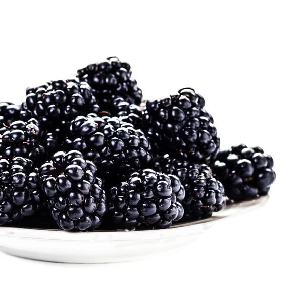 新鲜的黑莓在一个碗里 — 图库照片
