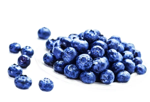 Fresh blueberries in a  white bowl — Stock Photo, Image