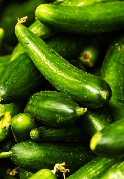 Cucumber  background — Stock Photo, Image