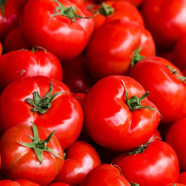 Gruppe frischer Tomaten Hintergrund. — Stockfoto