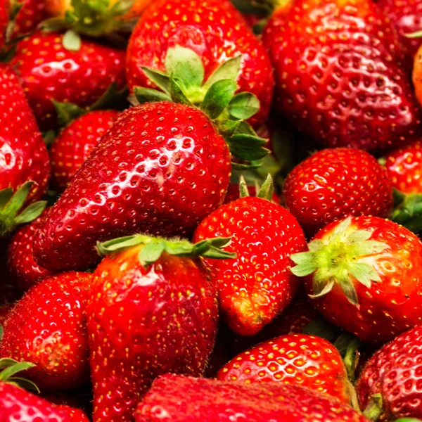 Erdbeer-Essen Hintergrund. — Stockfoto