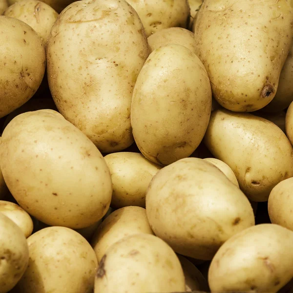 Potato  background. — Stock Photo, Image