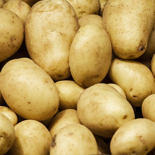 Potato  background.