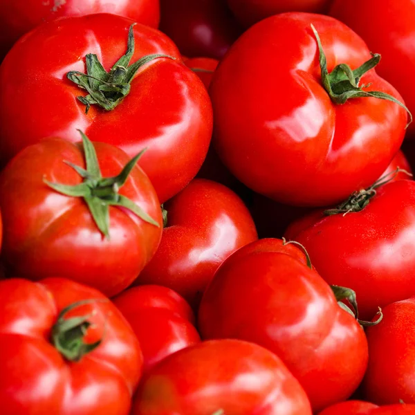 Gruppe frischer Tomaten Hintergrund. — Stockfoto