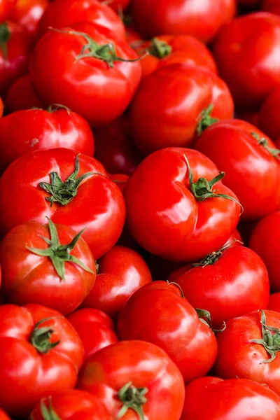 Färska tomater bakgrund — Stockfoto