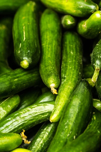 Cucumber  background — Stock Photo, Image