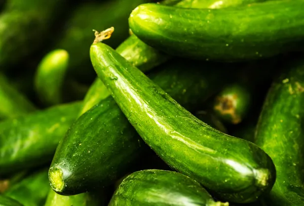 Cucumber  background — Stock Photo, Image