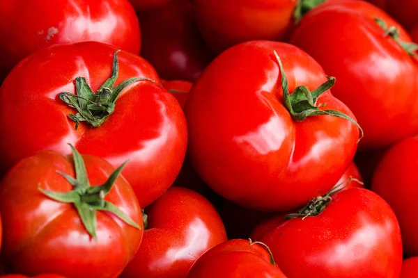 Grupp av färska tomater bakgrund — Stockfoto