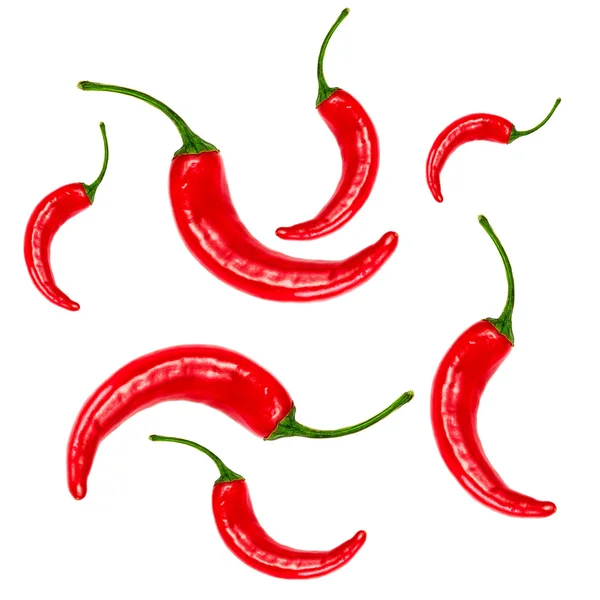 Red Hot chili pepper — Stock Photo, Image