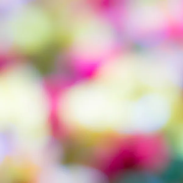 Festive blur background. — Stock Photo, Image