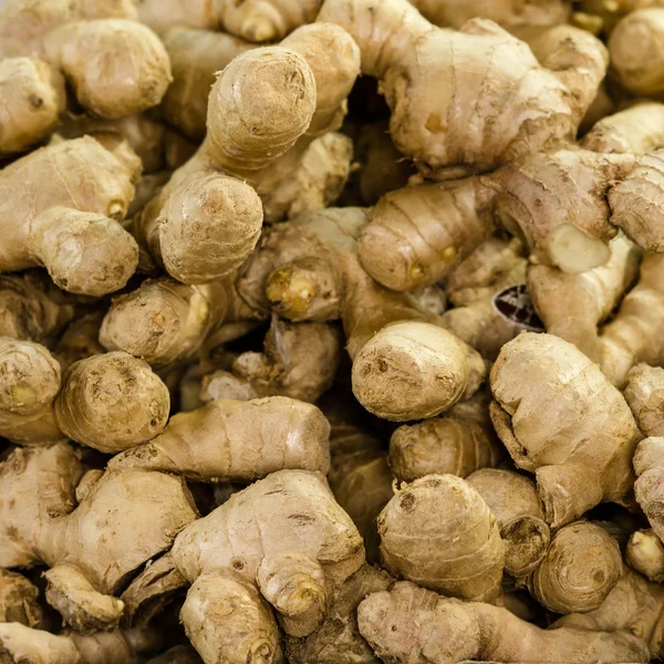 Fresh Ginger root — Stock Photo, Image