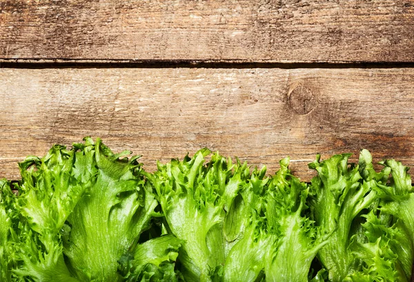 Ensalada de lechuga — Foto de Stock