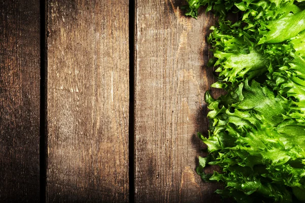 Lettuce Salad — Stock Photo, Image
