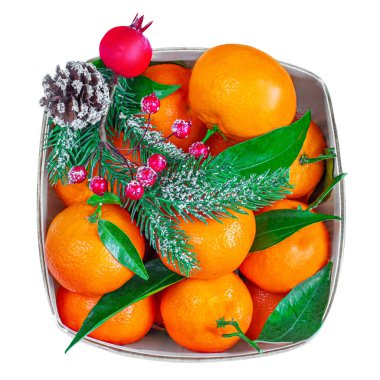 Beyaz arka planda yeşil yapraklı mandalina veya mandalina portakalları. Yeni seçilmiş Mandarin Üst Manzarası. Düz yatıyordu