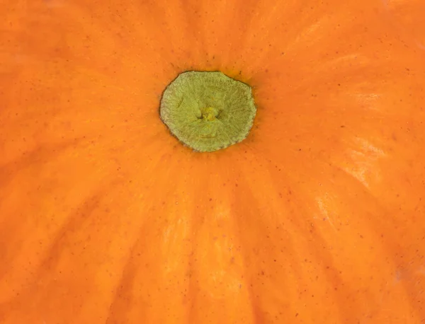 Pompoenpatroon Verse Pompoen Met Een Textuur Als Achtergrond Achtergrond — Stockfoto