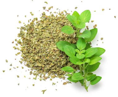 Beyaz arka planda izole edilmiş Oregano ya da marjoram otları. Taze ve kurutulmuş kekik baharatı. 
