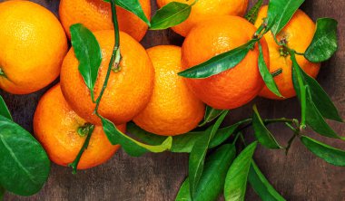 Mandalina portakalları ya da mandalinalar ve ahşap bir masanın üzerinde yeşil yapraklar. Kopyalama. Taze seçilmiş mandalina T