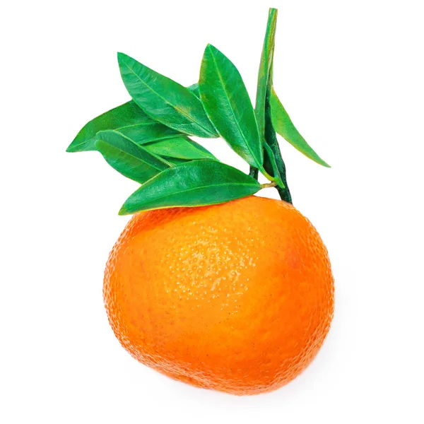 柑橘或柑橘类水果 绿叶分离于白色背景 最新精选的达林头像 平面拉 — 图库照片