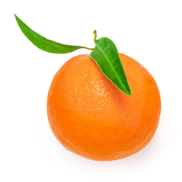 独立的曼达林橙子或橘子 白色背纹 — 图库照片