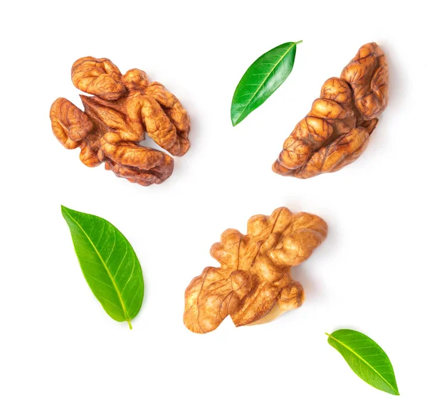 Walnut Isolated Walnut Kernel Nut White Background Collection Top View — Stock Photo, Image