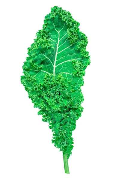 Kale Blad Salade Groente Geïsoleerd Witte Achtergrond Kale Close Plat — Stockfoto