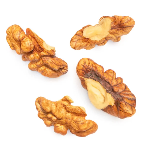 Απομονωμένο Καρύδι Καρύδι Καρύδι Nut Λευκό Φόντο Στο Πάνω Μέρος — Φωτογραφία Αρχείου