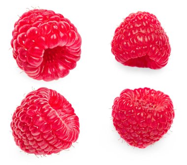 Ahududu izole. Beyaz arka planda ahududu. Şablon. Üst Manzara. Tahsilat. Yaz meyveleri Macr