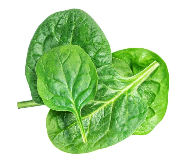 Pile Fresh Green Baby Spinach Leaves Isolated White Background Top — Stock Photo, Image