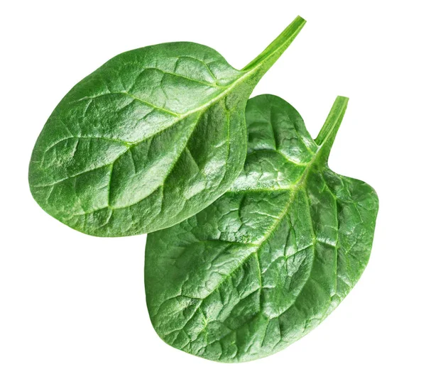 Spinach Leaves Isolated White Background Various Spinach Closeup Top View — Stock Photo, Image
