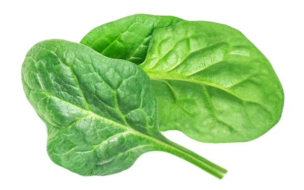 Spinach Leaves Isolated White Background Fresh Spinach Closeup Top View — Stock Photo, Image